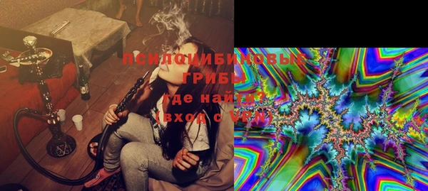 гидра Гусиноозёрск