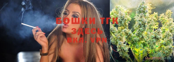 ГАЛЛЮЦИНОГЕННЫЕ ГРИБЫ Гусев