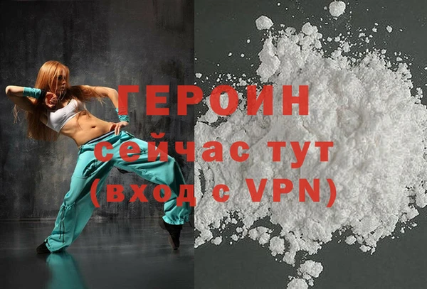 гашик Алексин