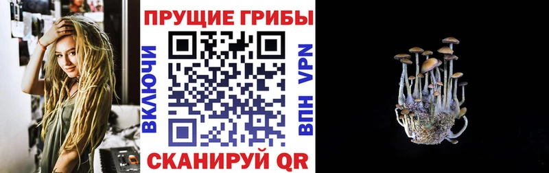 ОМГ ОМГ ссылки  Новошахтинск  Псилоцибиновые грибы прущие грибы  купить наркоту 